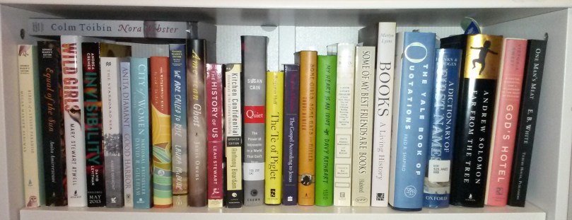 The 2014 TBR shelf, featuring many titles from the 2013 TBR shelf.