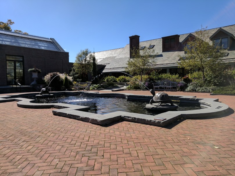 Reflecting pool with turtle fountains
