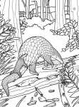 pangolin coloring sheet