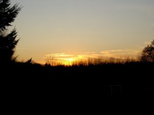 4pm sunset at Hampshire