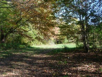 1923470_504686557158_5679_n