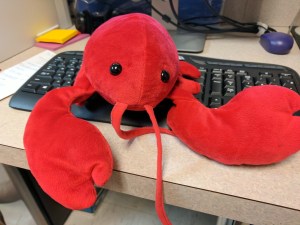Stuffed toy lobster on computer keyboard