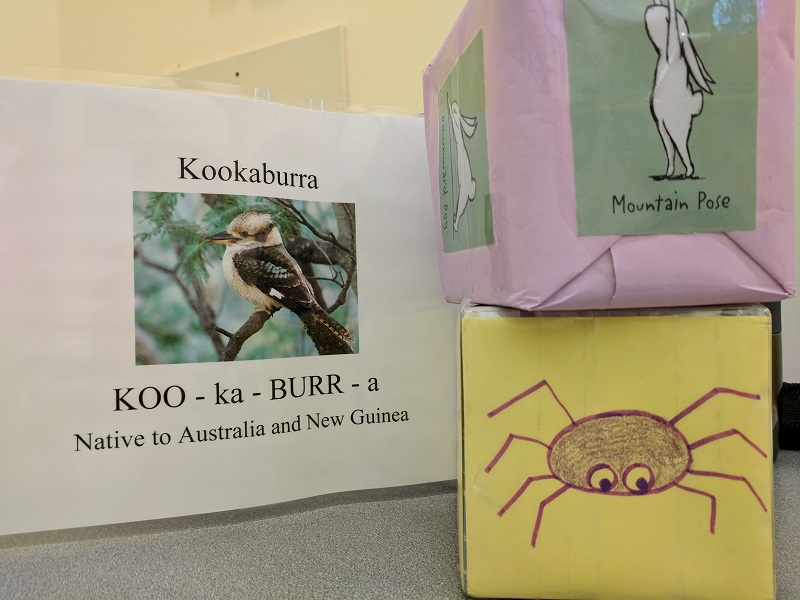 Kookaburra picture, yoga cube, song cube