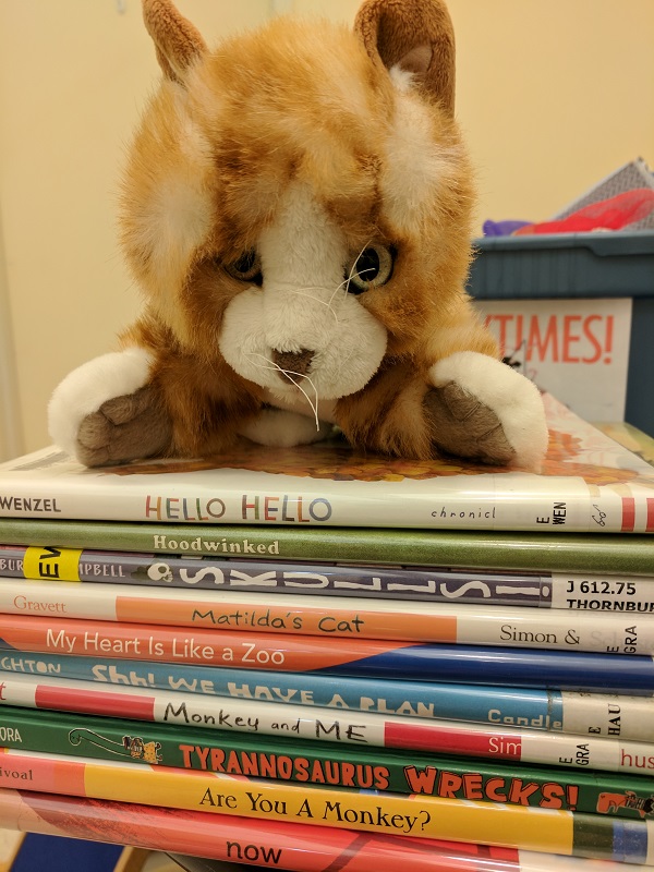 Cat puppet on stack of picture books