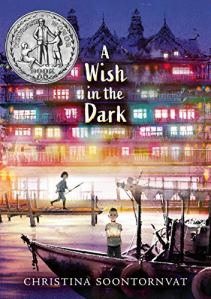 Cover image of A Wish in the Dark