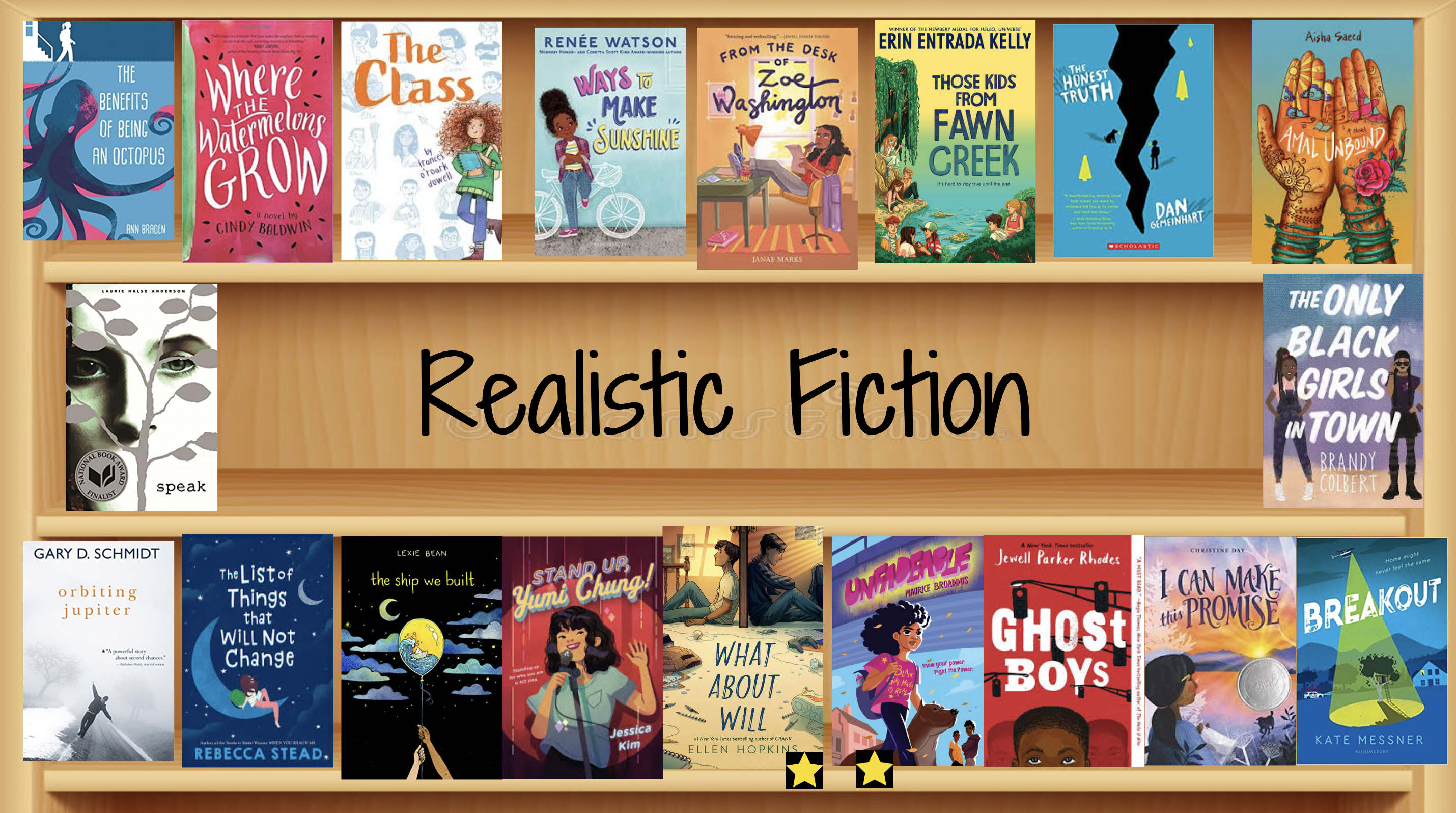 One of Laura's realistic fiction slides, with book covers face out on a shelf