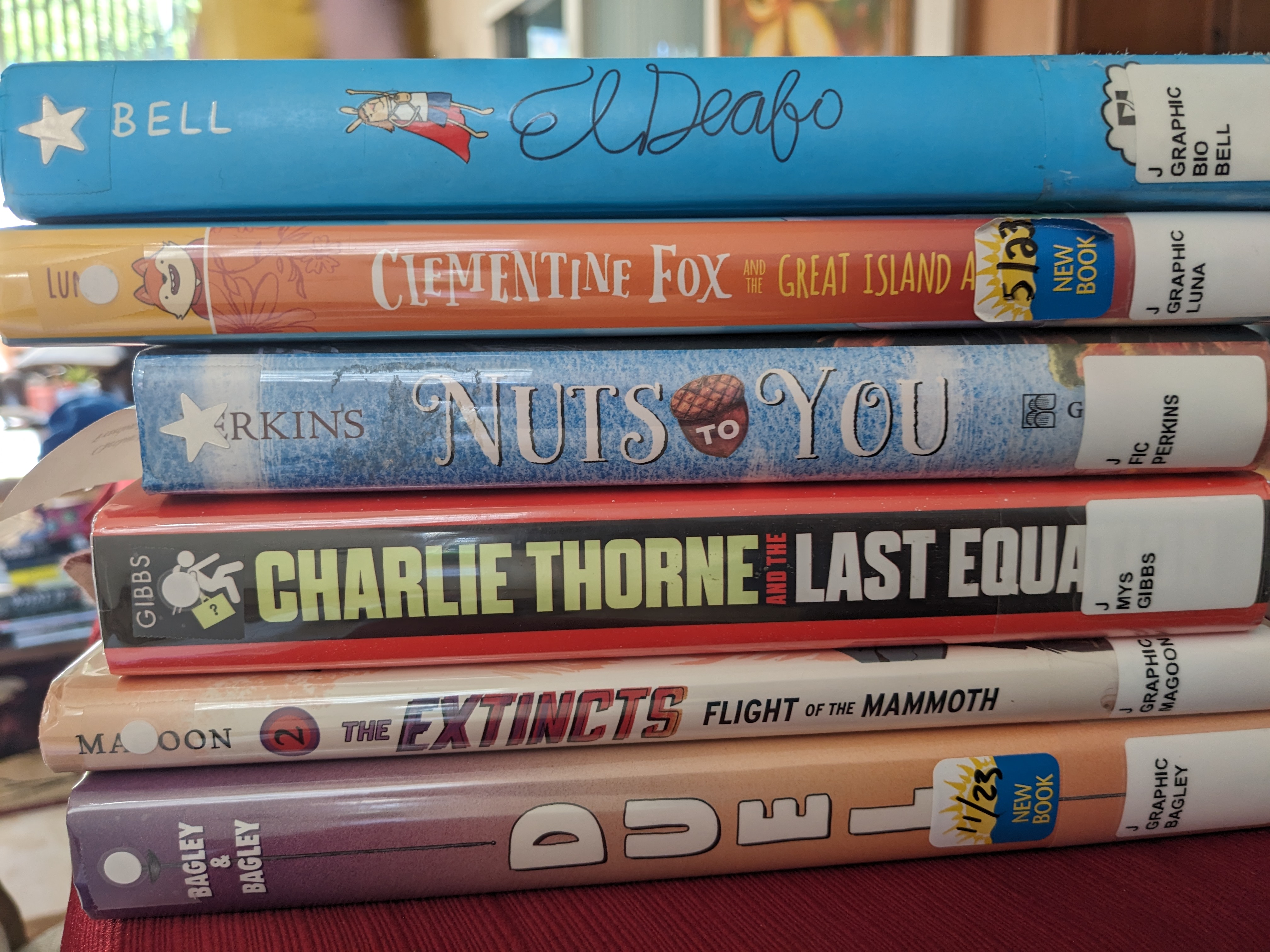 Pile of books with library spine markings