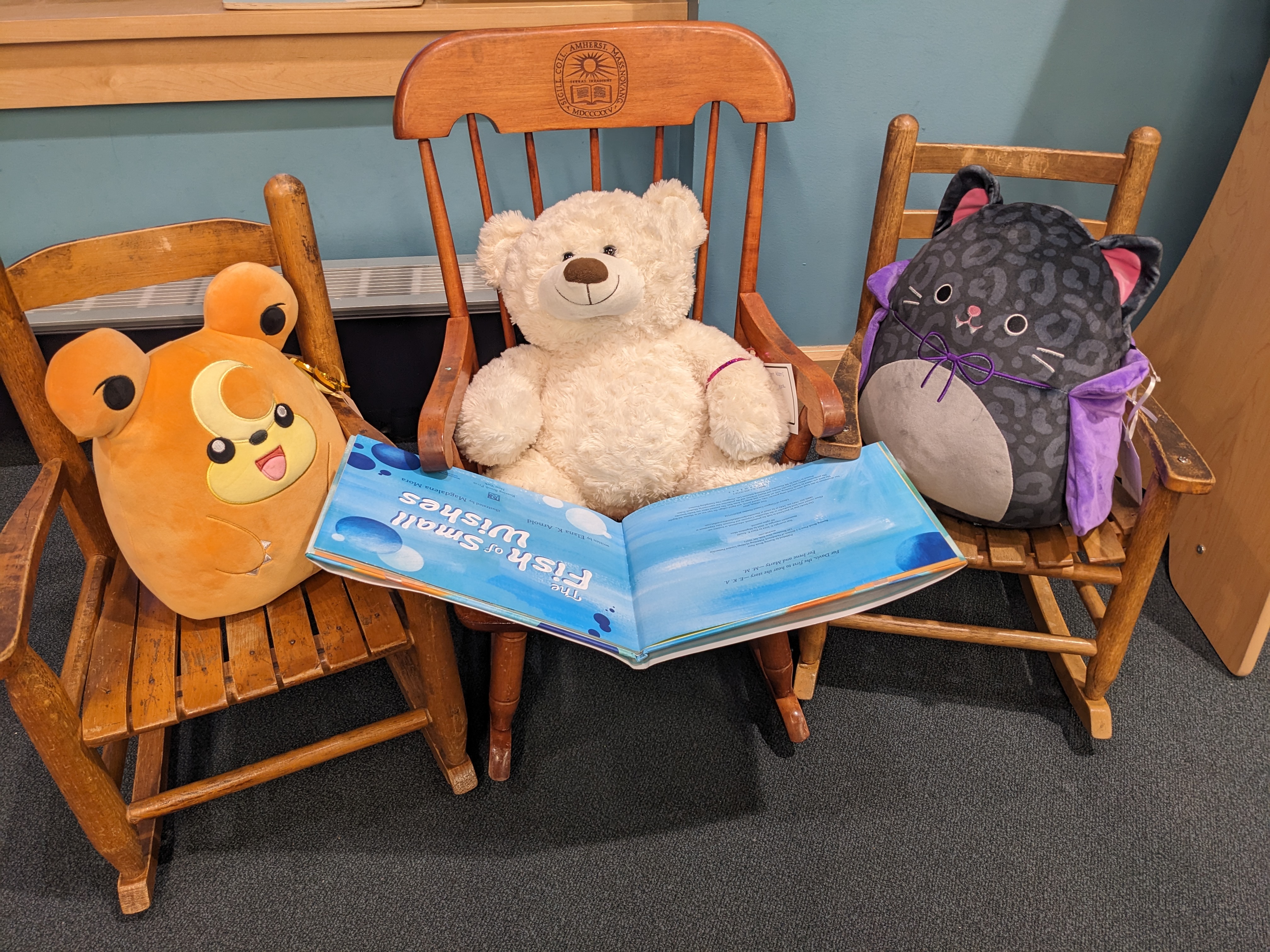 PXL_20241230_213712616