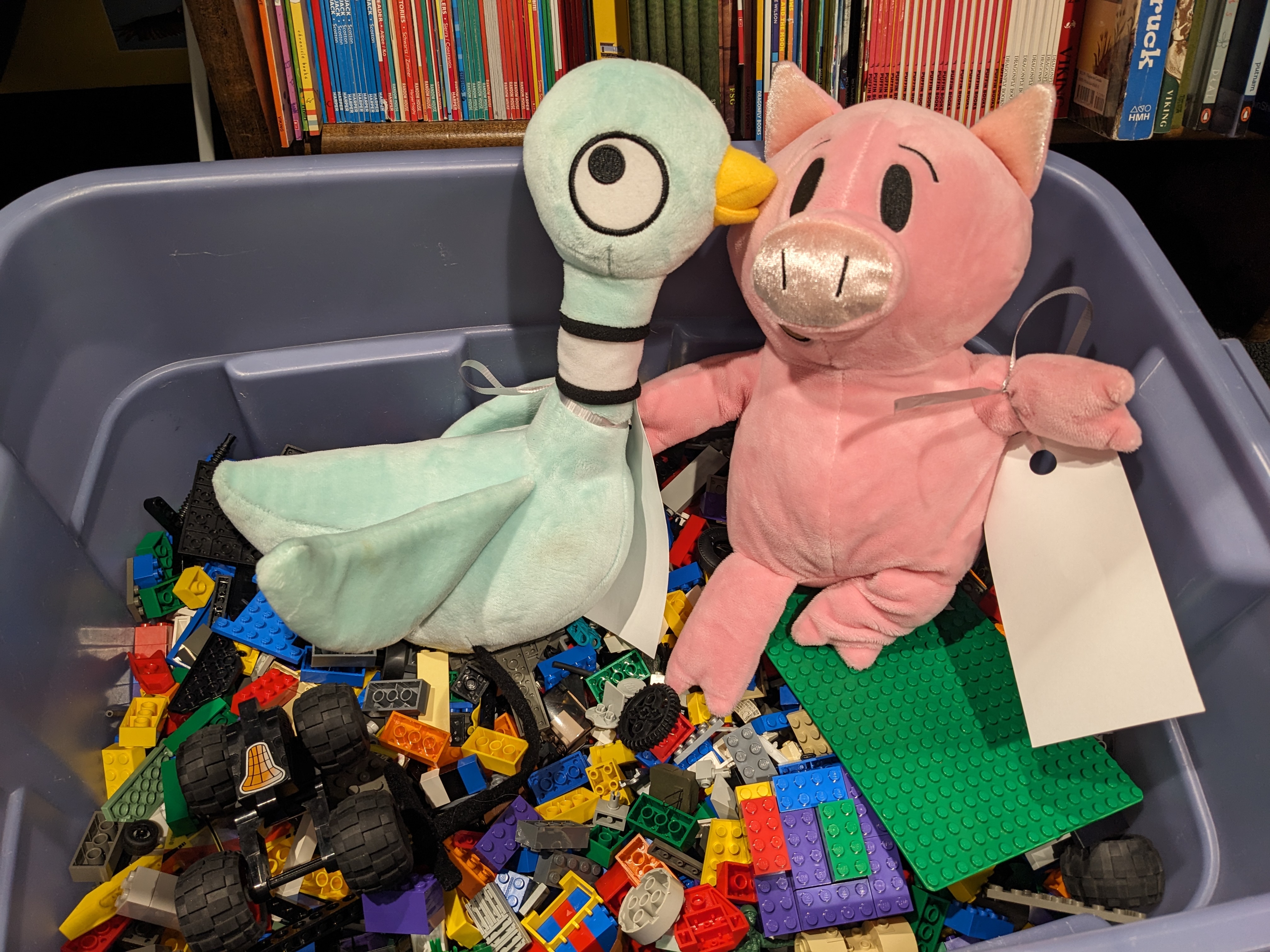 PXL_20241230_220042735