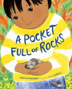 Cover image of A Pocket Full of Rocks