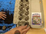 wildflower seed bombs in egg carton with seed packet
