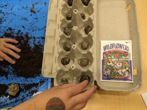 wildflower seed bombs in egg carton with seed packet